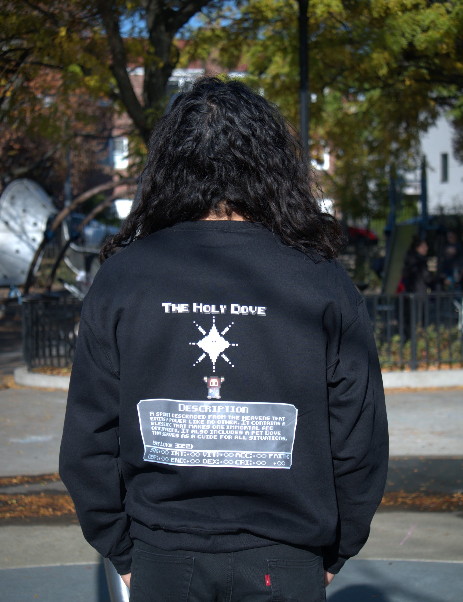 The Holy Dove Sweatshirt - HolyPixels